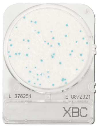 dia-compact-dry-bacillus-cereus_2
