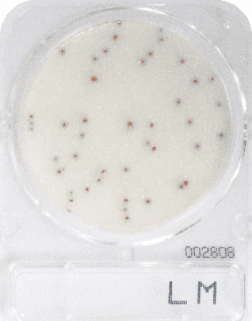 dia-compact-dry-lm-listeria-monocytogenes_1