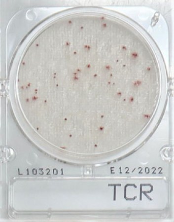 dia-compact-dry-total-viable-count-rapid_1