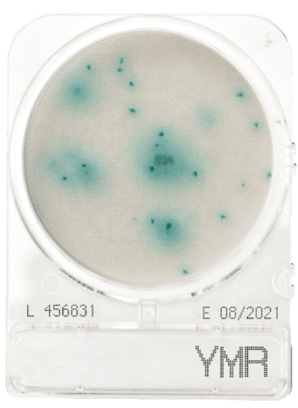 dia-compact-dry-yeast-and-mold-rapid_2