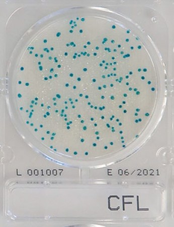 dia-compactdry-cfl_3