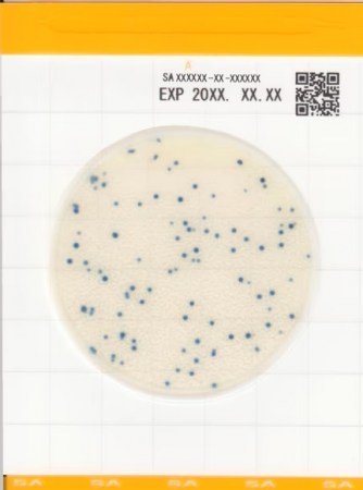 dia-easy-plate-sa-kiem-tra-staphylococcus-aureus
