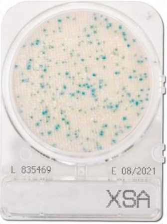 xsa